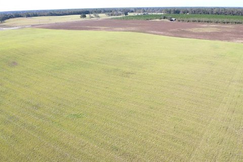 Land in Bell, Florida № 1816881 - photo 13