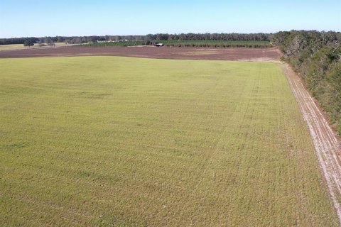 Terreno en venta en Bell, Florida № 1816881 - foto 7