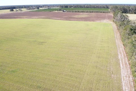 Terreno en venta en Bell, Florida № 1816881 - foto 9