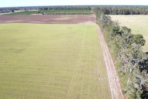 Terreno en venta en Bell, Florida № 1816881 - foto 5
