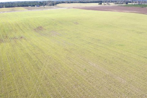 Terreno en venta en Bell, Florida № 1816881 - foto 4