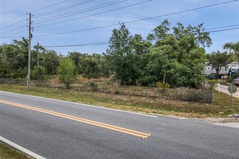 Terreno en venta en Orlando, Florida № 1687748 - foto 5