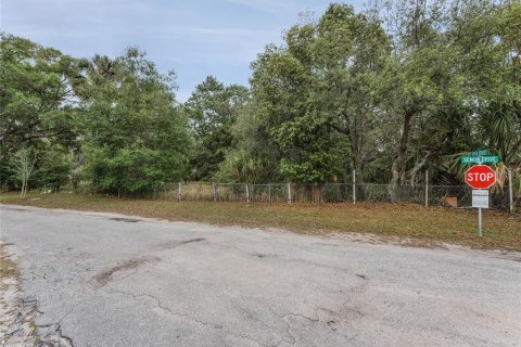 Terreno en venta en Orlando, Florida № 1687748 - foto 7