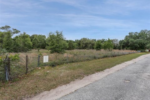 Terreno en venta en Orlando, Florida № 1687748 - foto 6
