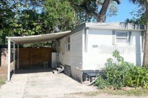 Appartement à louer à New Port Richey, Floride: 1 chambre, 65.03 m2 № 1838573 - photo 1