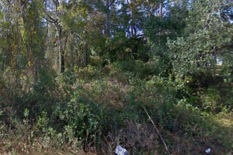 Land in Silver Springs Shores, Florida № 2161670