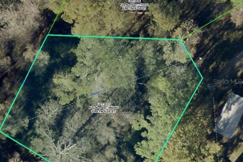 Land in Dade City, Florida № 2351808