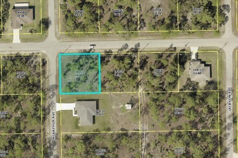 Land in Alva, Florida № 2159652 - photo 2