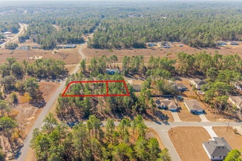 Land in Citrus Springs, Florida № 2108389 - photo 9