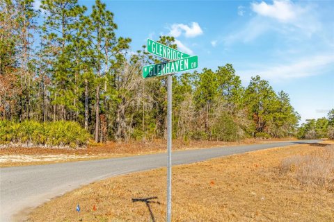 Land in Citrus Springs, Florida № 2108389 - photo 3