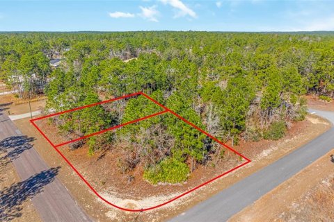 Land in Citrus Springs, Florida № 2108389 - photo 13