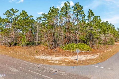 Land in Citrus Springs, Florida № 2108389 - photo 4