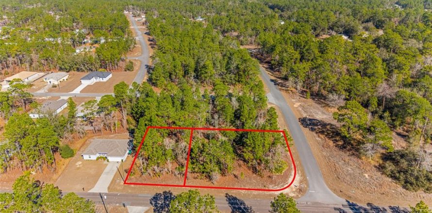 Land in Citrus Springs, Florida № 2108389
