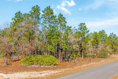 Land in Citrus Springs, Florida № 2108389 - photo 6