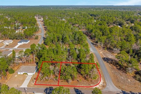 Land in Citrus Springs, Florida № 2108389 - photo 10