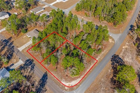 Land in Citrus Springs, Florida № 2108389 - photo 7