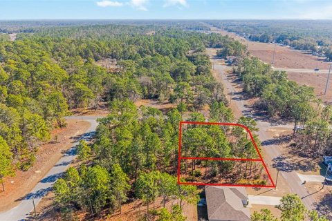 Land in Citrus Springs, Florida № 2108389 - photo 11