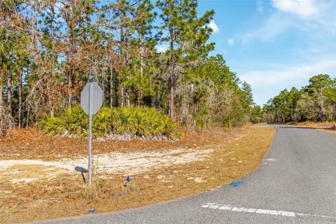 Land in Citrus Springs, Florida № 2108389 - photo 15
