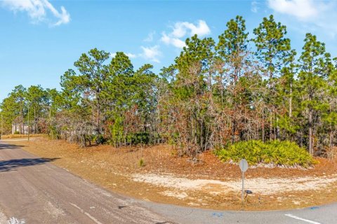 Land in Citrus Springs, Florida № 2108389 - photo 5