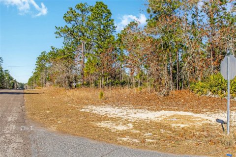 Land in Citrus Springs, Florida № 2108389 - photo 14