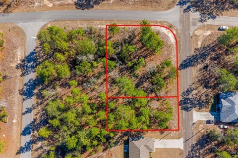 Land in Citrus Springs, Florida № 2108389 - photo 2