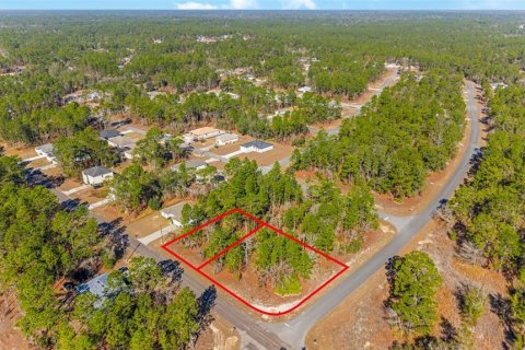 Land in Citrus Springs, Florida № 2108389 - photo 8