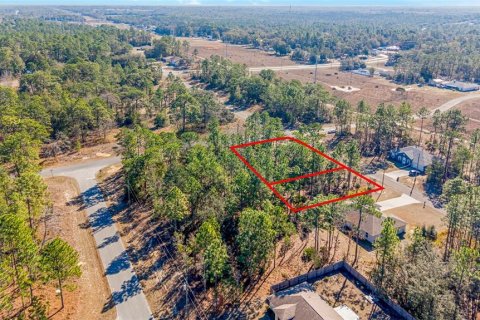 Land in Citrus Springs, Florida № 2108389 - photo 12
