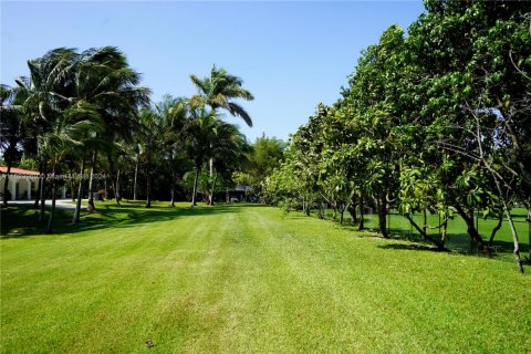 Terreno en venta en Southwest Ranches, Florida № 1710518 - foto 8