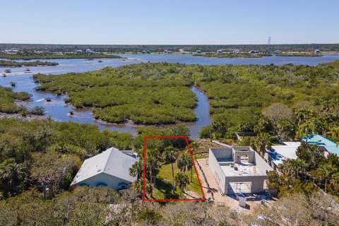 Land in Flagler Beach, Florida № 1508389 - photo 17
