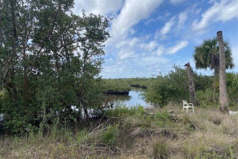 Land in Flagler Beach, Florida № 1508389 - photo 5