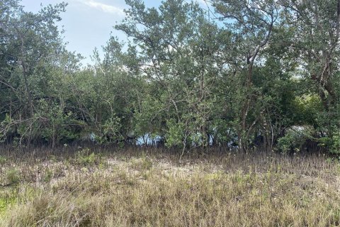Land in Flagler Beach, Florida № 1508389 - photo 6