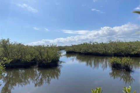 Land in Flagler Beach, Florida № 1508389 - photo 18