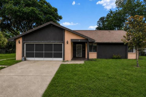 House in Palm Coast, Florida 3 bedrooms, 192.96 sq.m. № 2150613