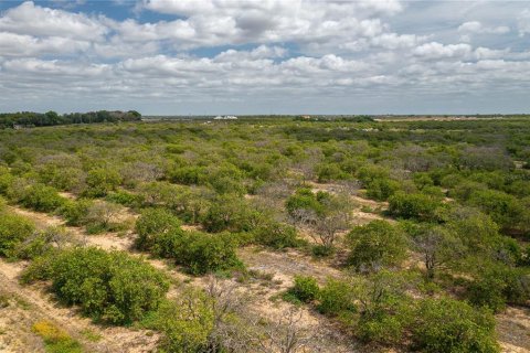 Land in Babson Park, Florida № 1107569 - photo 6