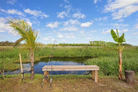Land in Zolfo Springs, Florida № 1449813 - photo 29