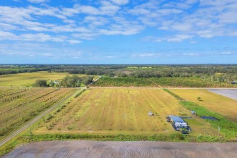 Land in Zolfo Springs, Florida № 1449813 - photo 28