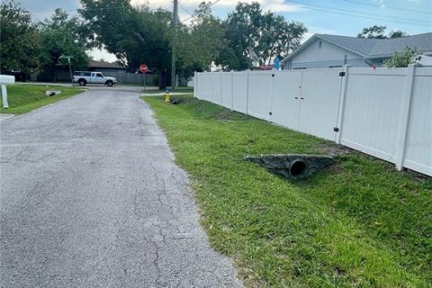Land in Tampa, Florida № 1858115 - photo 7