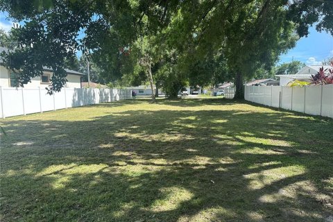 Land in Tampa, Florida № 1858115 - photo 1
