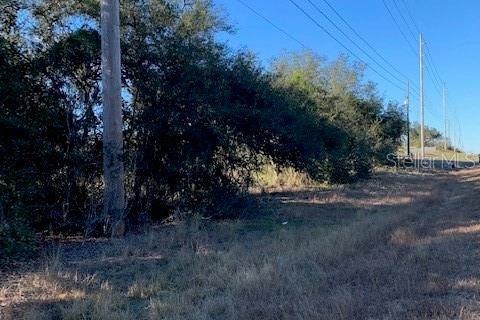 Land in Lake Wales, Florida № 1893635 - photo 6