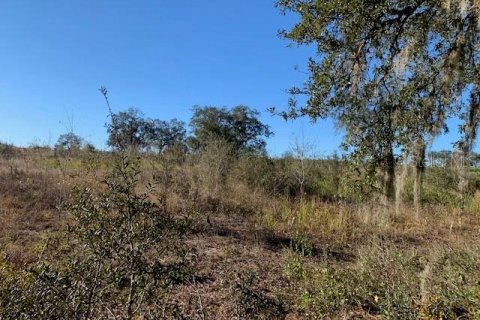 Land in Lake Wales, Florida № 1893635 - photo 13