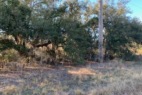 Land in Lake Wales, Florida № 1893635 - photo 2