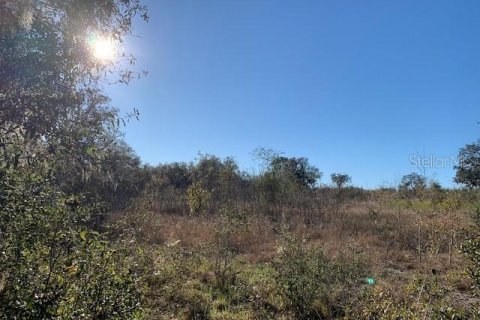 Land in Lake Wales, Florida № 1893635 - photo 11