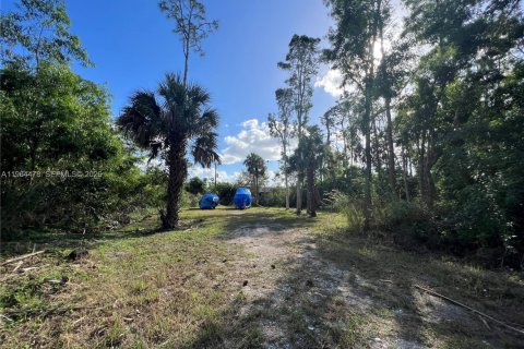 Terreno en venta en Naples, Florida № 2081119 - foto 8