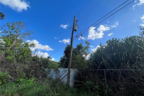 Terreno en venta en Naples, Florida № 2081119 - foto 7