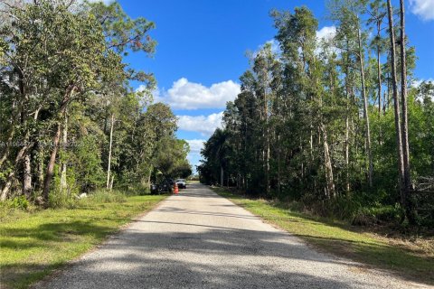 Terreno en Naples, Florida № 2081119