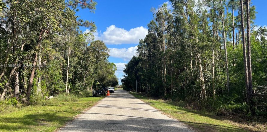 Terreno en Naples, Florida № 2081119
