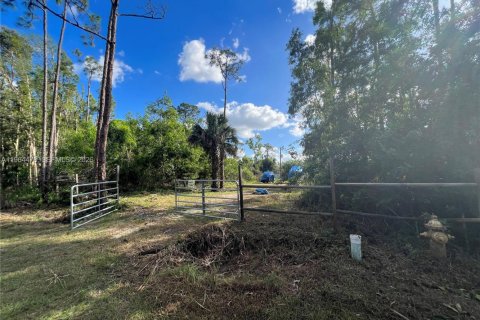 Terreno en venta en Naples, Florida № 2081119 - foto 17