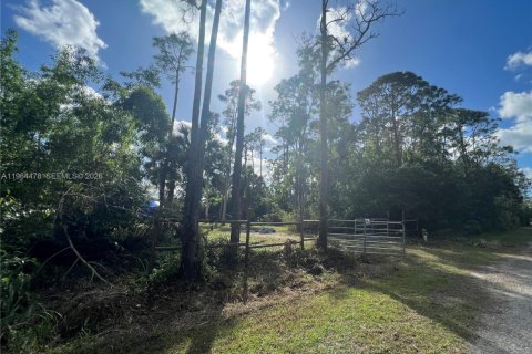 Terreno en venta en Naples, Florida № 2081119 - foto 5