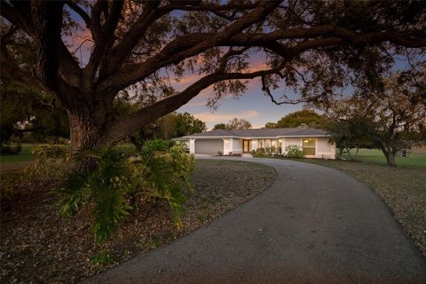 Villa ou maison à vendre à Sarasota, Floride: 6 chambres, 397.34 m2 № 2148333 - photo 10