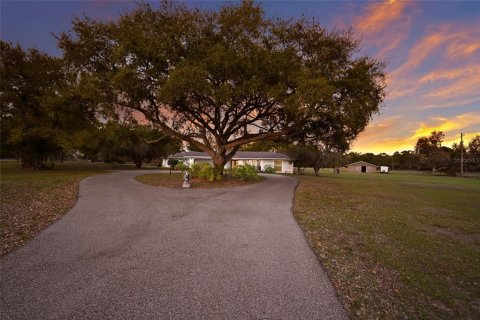 Villa ou maison à vendre à Sarasota, Floride: 6 chambres, 397.34 m2 № 2148333 - photo 7